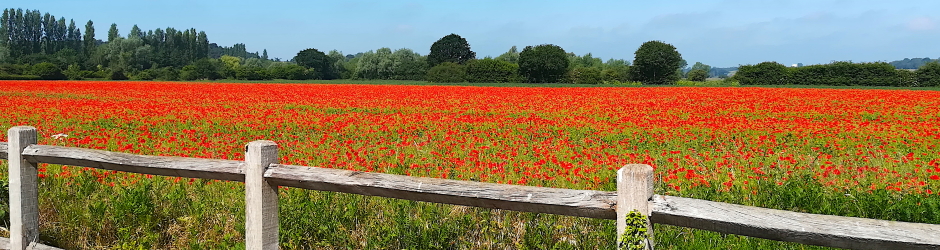 Withersdale Road, Nr. Metfield